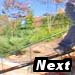 Next Photo