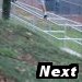 Next Photo