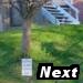 Next Photo