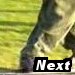 Next Photo