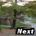 Next Photo