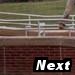 Next Photo