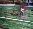 Strider Patton hittin a Frontside at Cornell